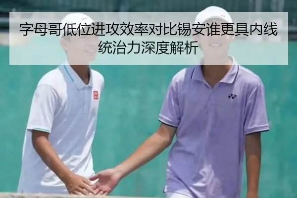 字母哥低位进攻效率对比锡安谁更具内线统治力深度解析
